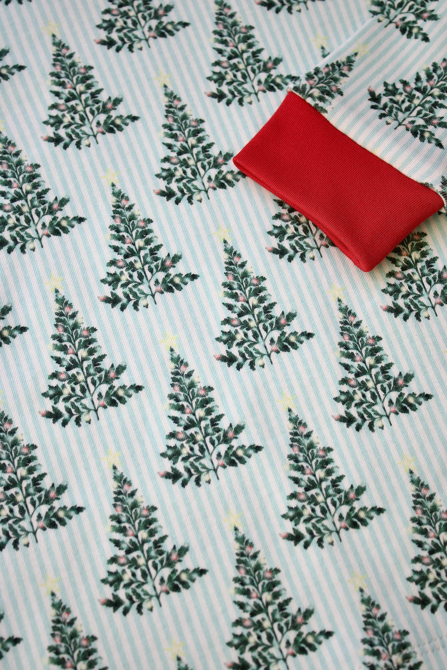 Two-Piece Long Sleeve Pajama Set - Twinkling Fern